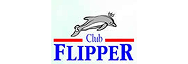 Flipper logo